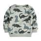 Boys Sweatshirts Dinosaur Print Kids Boys Hoodies Sweatshirts Cotton Little Boy's Clothing for Children Garments